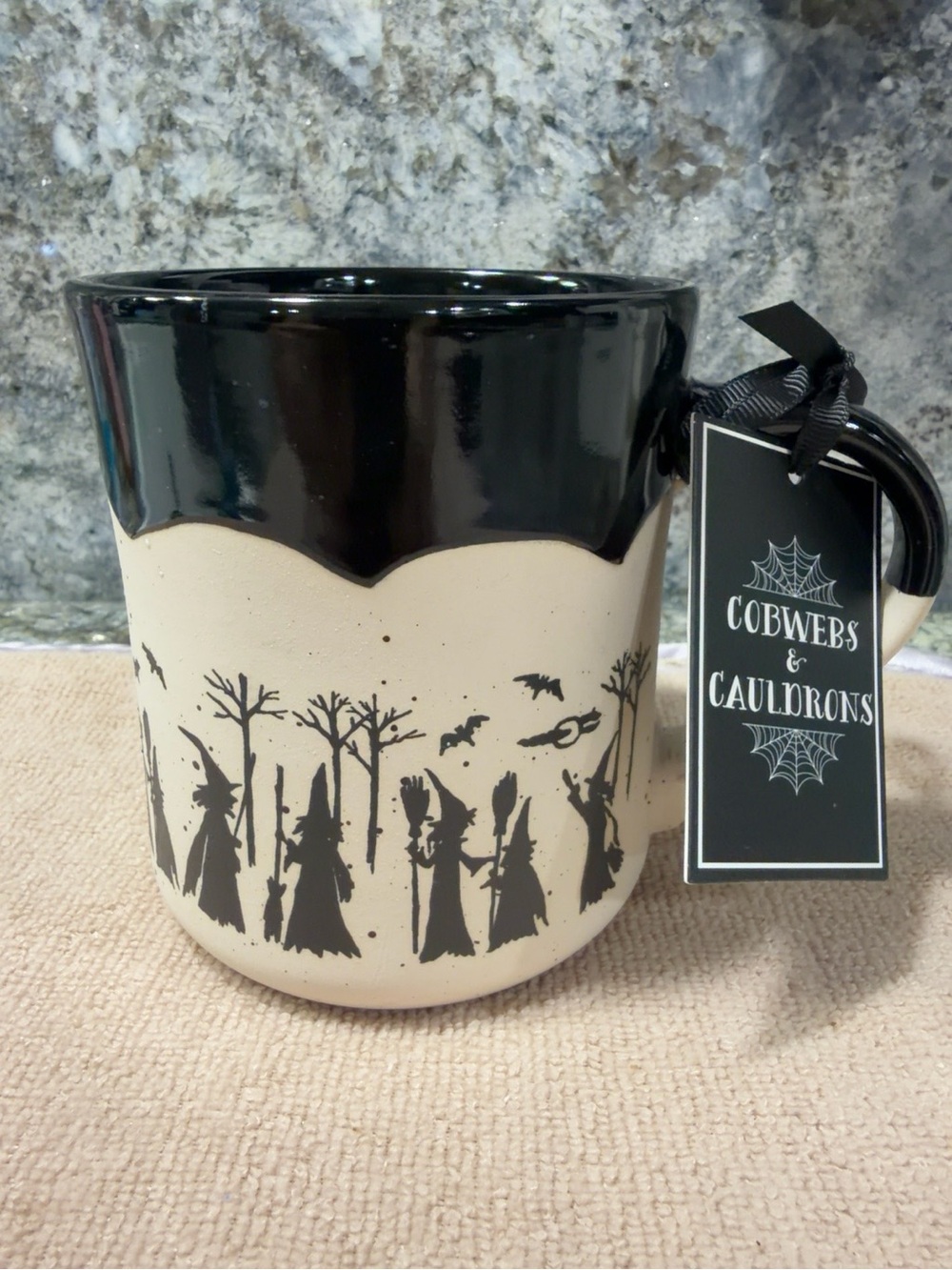 Cobwebs & Cauldrons Witches Halloween Mug | NWT